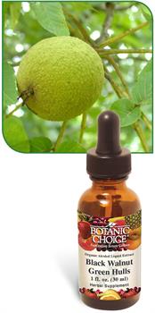 Black Walnut Green Hulls Liquid Extract